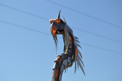 Drak