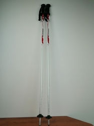 Dětské lyžařské hole Blizzard Sport Junior 105 cm