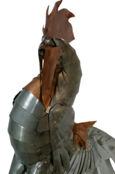 Kohout 1